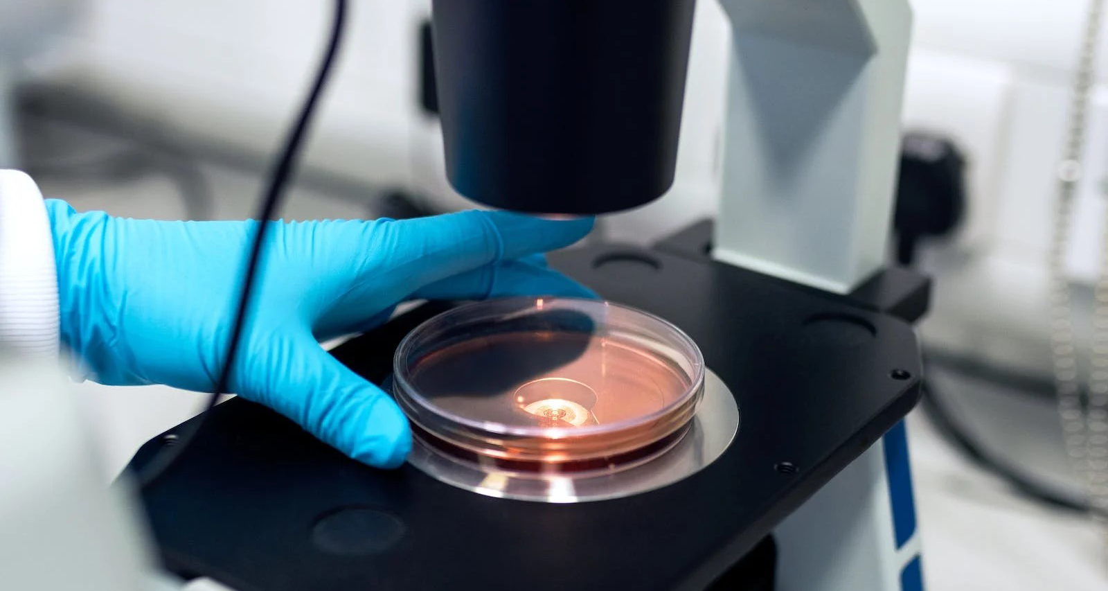 創(chuàng)新平臺